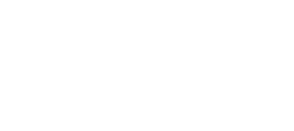 Lodestar Claims &amp; Risk Services logo