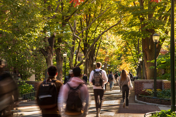 Students walking through tree-lined campus street
